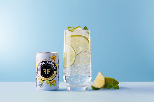 classic-g-and-t|citrus-punch|cranberry-spritz|cucumber-tonic-cocktail|smoky-moscow-mule